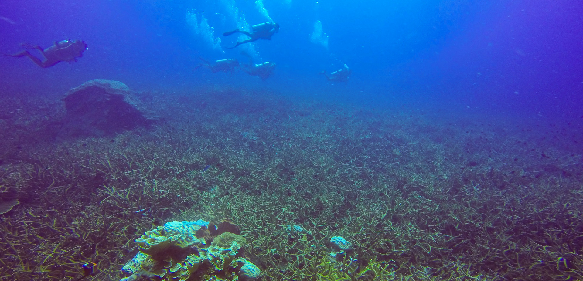 水處理技術(shù)要有全新的生態(tài)開(kāi)發(fā)方向