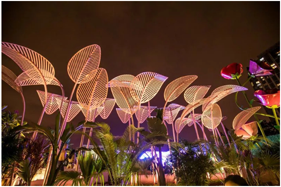 無(wú)氯游泳池系統(tǒng)，無(wú)氯游泳池，露天無(wú)氯游泳池