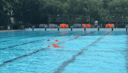 戴思樂游泳館,戴思樂泳池，游泳館運(yùn)營(yíng)管理