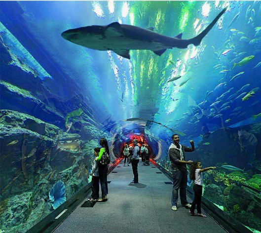 <b>海洋館水質(zhì)如何處理？水處理系統(tǒng)是關(guān)鍵！</b>