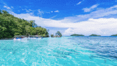 <b>是什么竟把“小而美”的泳池，變成了廣闊無垠的汪洋大海？</b>