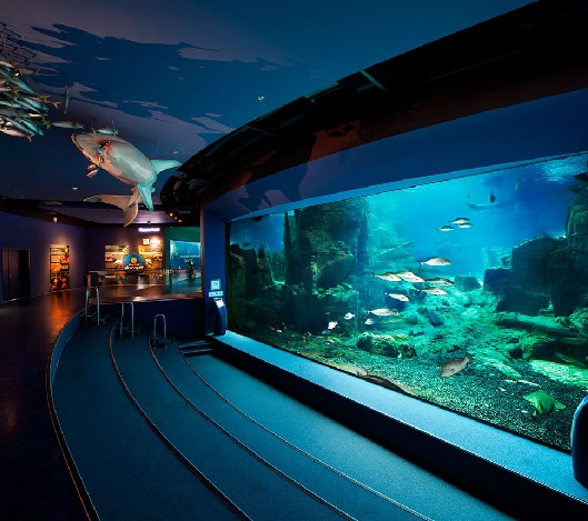 海洋館設(shè)計(jì)，海洋館設(shè)計(jì)要點(diǎn)，海洋館設(shè)計(jì)公司