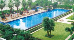 泳池水渾濁怎么辦？