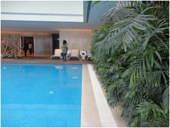 別墅建泳池或魚池，別糾結(jié)了，先來看看兩者的區(qū)別再?zèng)Q定！