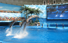 海洋館里的水怎么過濾？