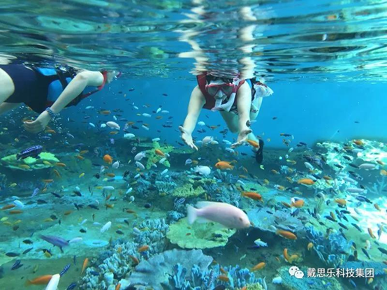 海洋浮潛館，海洋館設(shè)備