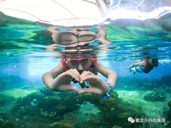 海洋浮潛館，海洋館設(shè)備