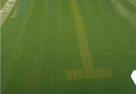 廣東連續(xù)遭遇強(qiáng)降雨侵襲，導(dǎo)致游泳池水發(fā)綠、犯渾怎么辦？