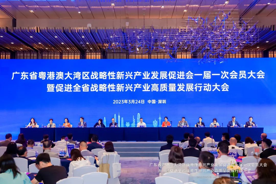 戴思樂集團(tuán)當(dāng)選“大灣區(qū)戰(zhàn)新會(huì)”副會(huì)長(zhǎng)單位！