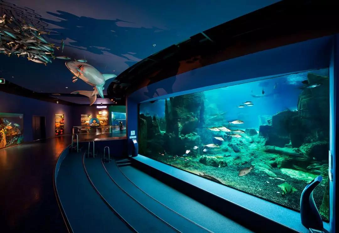 海洋館的空氣質量如何提升？