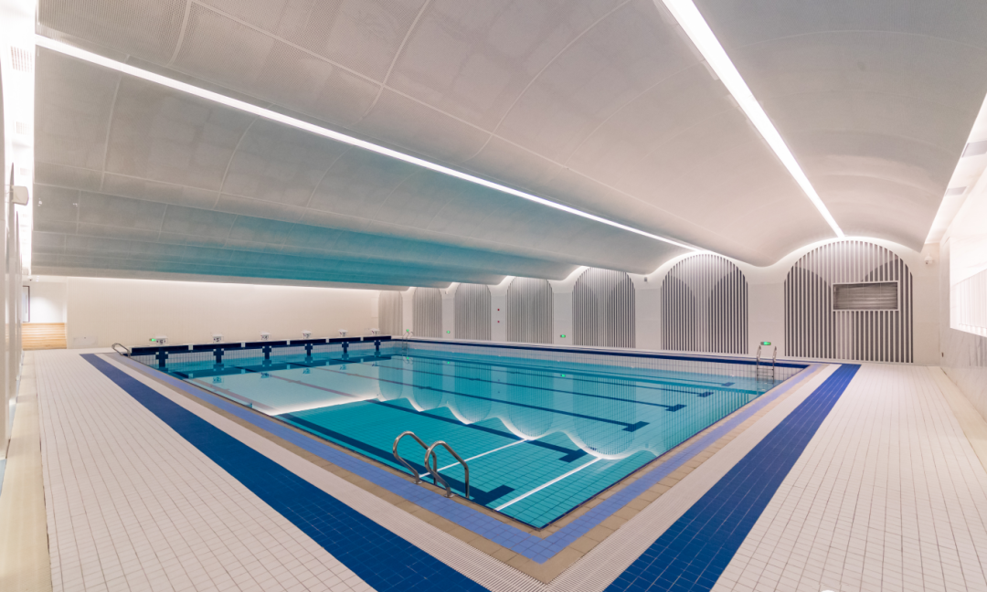 太羨慕了!貝賽思這次來了武漢之后，人人關(guān)注的竟然是......