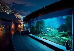 水族館的建設(shè)過程中需要考慮哪些因素？需要哪些設(shè)備呢？