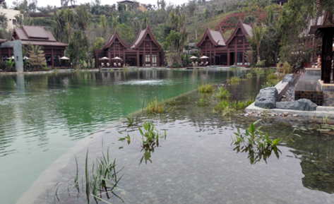 城市人工湖治理該怎么做？