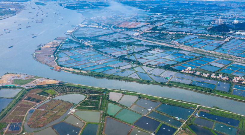 打造綠色魚塘，實現(xiàn)尾水治理與生態(tài)共贏？