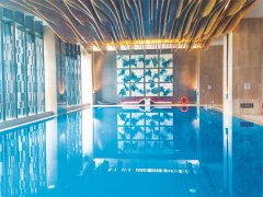 戴思樂游泳池不銹鋼過濾器，游泳池水質(zhì)的守護(hù)者，耐用與效率并存！