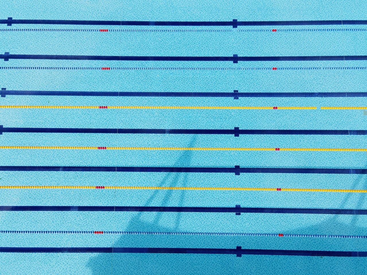 <b>泳池水處理藥劑招商，熱門商機(jī)誠(chéng)邀加盟！</b>