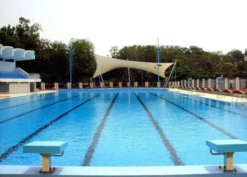 游泳池長藻難清理？5 個高效除藻技巧，讓池水秒變清澈！