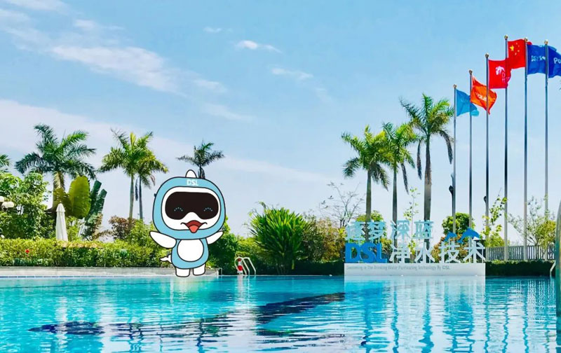 <b>私人豪華別墅游泳池都在用什么水處理設(shè)備？</b>